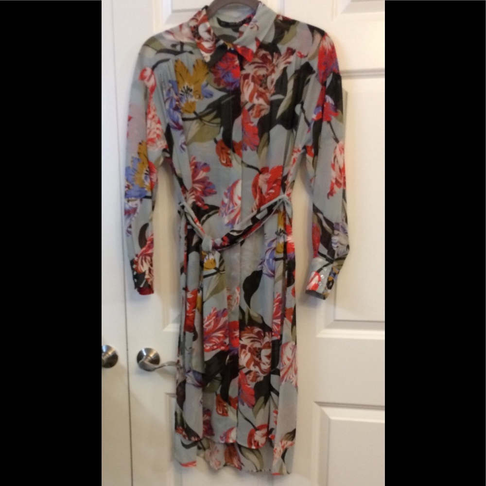 Zara Basic Floral Sheer Long Sleeve Dress Small